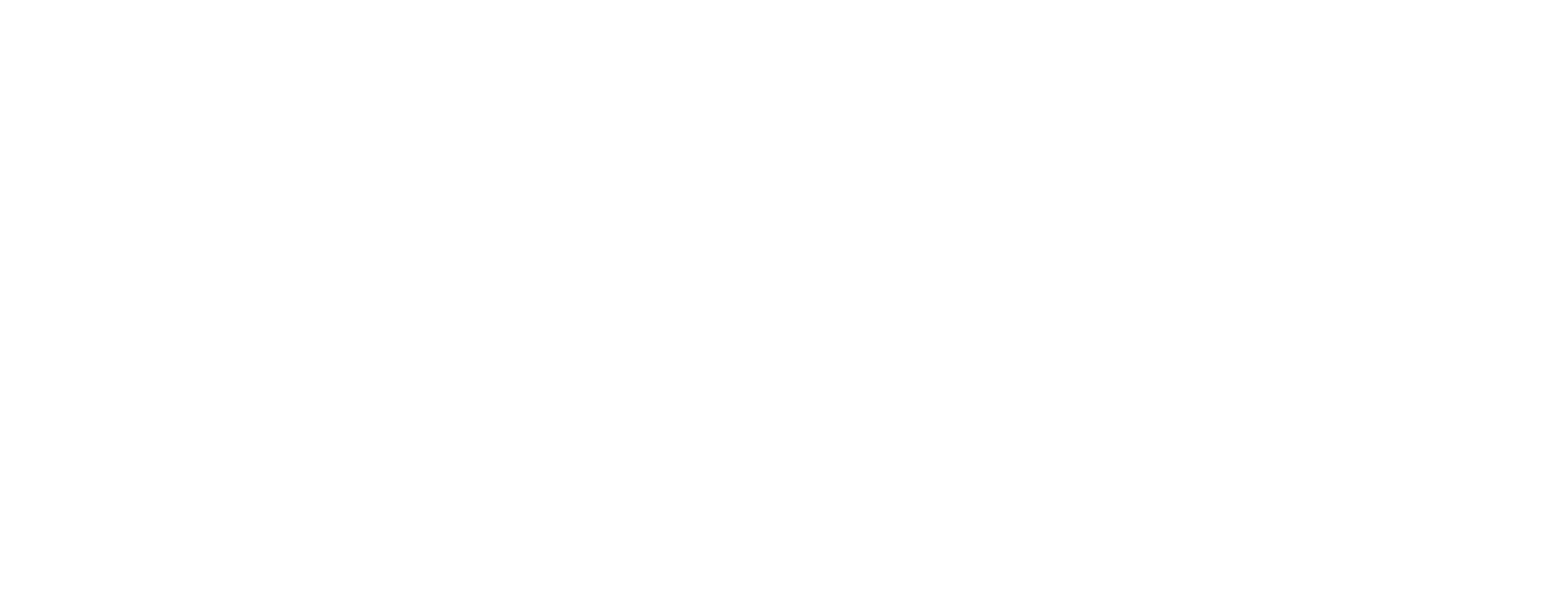 Customer 6