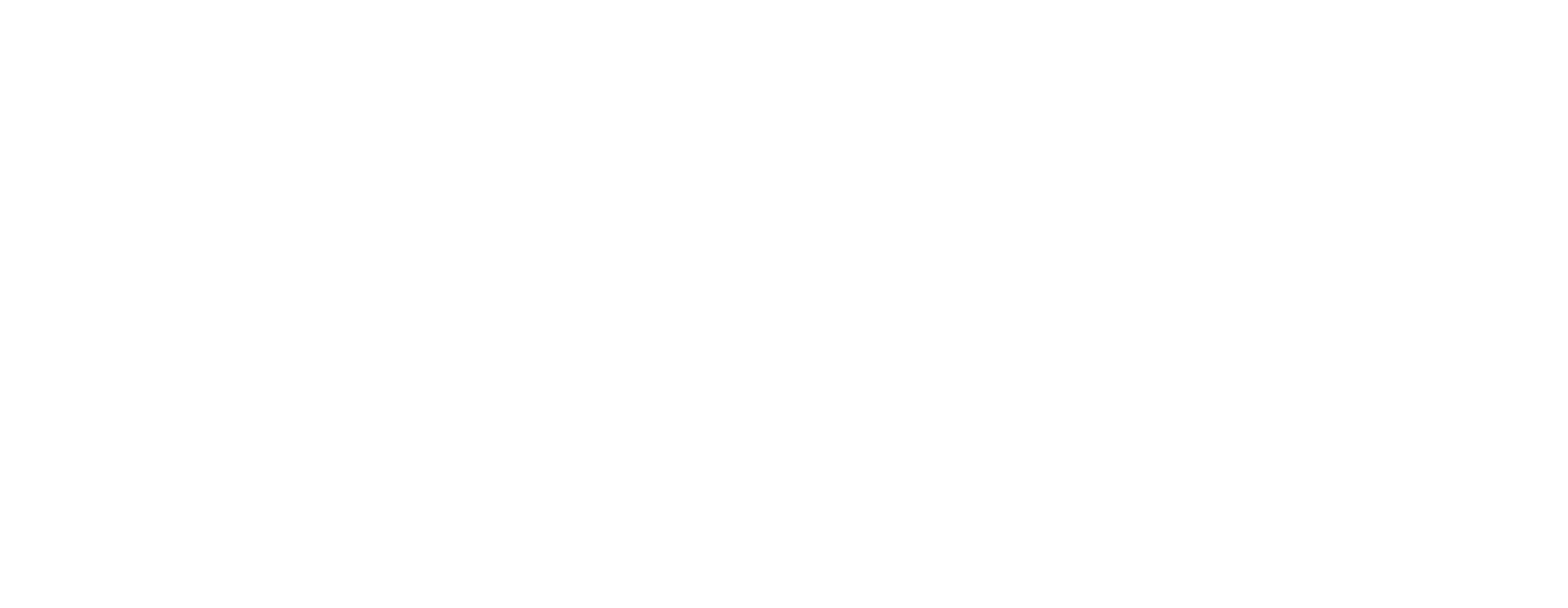 Customer 5