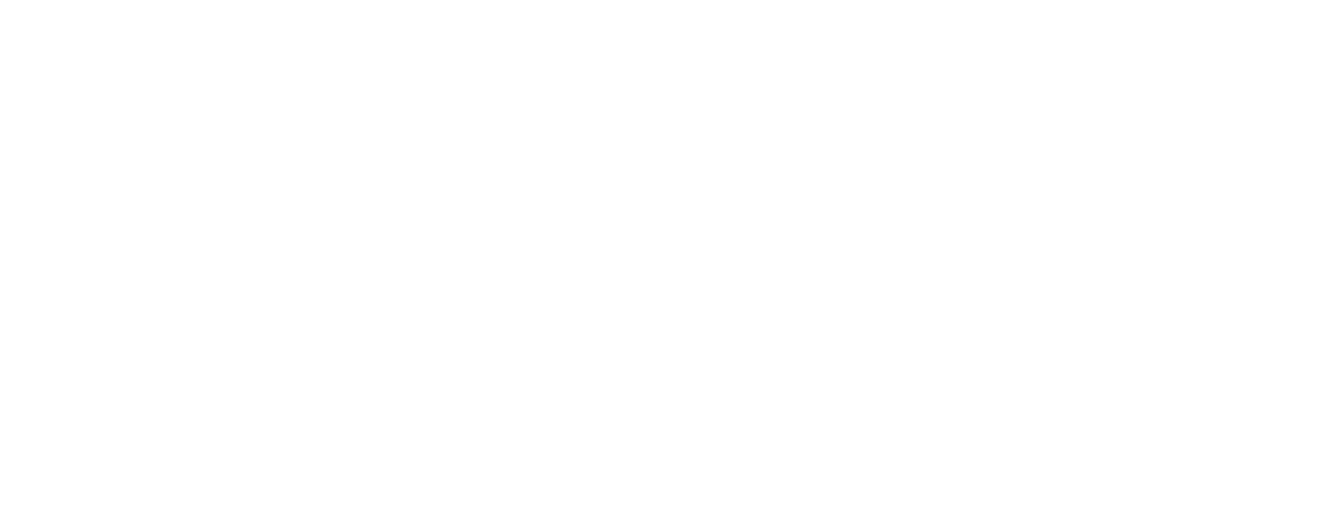 Customer 1